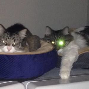 Meet your Posher, Eric